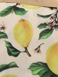 TOVAGLIA ANTIMACCHIA 6P HYDRO FRUTTA 140X180 Tellini S.r.l. Ingrosso Abbigliamento